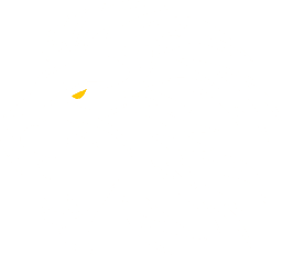 LionModeFit